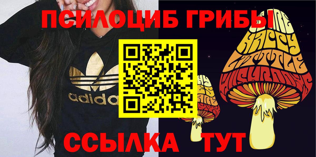 Галлюциногенные грибы GOLDEN TEACHER  Галлюциногенные грибы мицелий  цена   Вход с VPN  Муравленко 