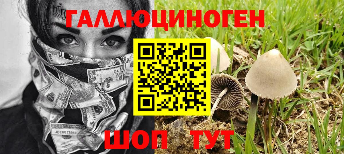 Галлюциногенные грибы MAGIC MUSHROOMS Муравленко